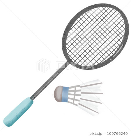Badminton racket and shuttlecock 109766240