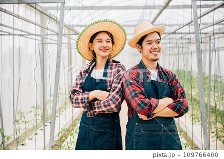 Happiness blooms in tomato hydroponic farm with Asian couple. Smiling farmers crossed arms carrying quality vegetables. Portrait of successful husband and wife in the greenhouse. Farming joy. 109766400