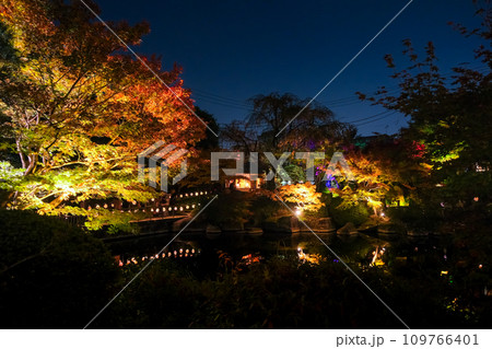 東京都豊島区 目白庭園 紅葉のライトアップ 東京都豊島区 目白庭園 紅葉のライトアップ 109766401
