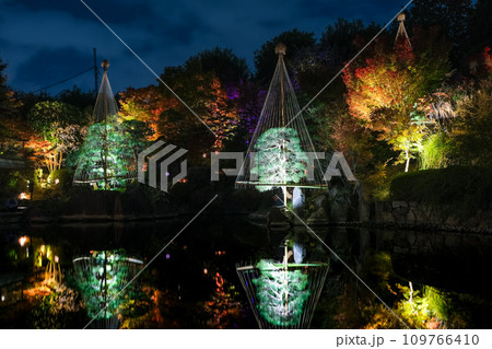 東京都豊島区 目白庭園 紅葉のライトアップ 東京都豊島区 目白庭園 紅葉のライトアップ 109766410