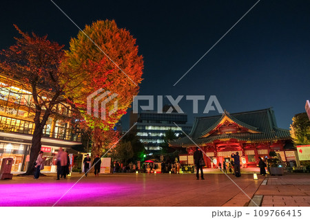 東京都千代田区 神田明神 紅葉のライトアップ 東京都千代田区 神田明神 紅葉のライトアップ 109766415