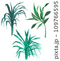 Indoor plants set of three 109766595