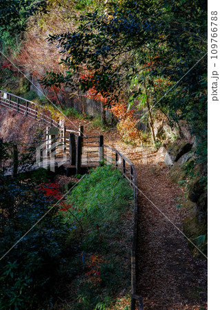 下城の大イチョウ周辺の遊歩道（阿蘇郡 小国町） 109766788