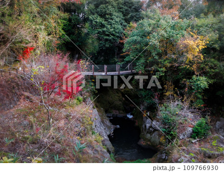 下城の大イチョウ近くの下城滝吊り橋(阿蘇郡 小国町) 下城の大イチョウ近くの下城滝吊り橋(阿蘇郡 小国町) 109766930