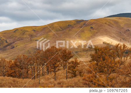 曇り空と秋色の野山の風景（阿蘇郡南小国町） 109767205
