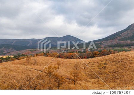 曇り空と秋色の野山の風景（阿蘇郡南小国町） 109767207
