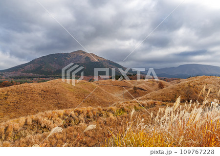 曇り空と秋色の野山の風景(阿蘇郡南小国町) 曇り空と秋色の野山の風景(阿蘇郡南小国町) 109767228