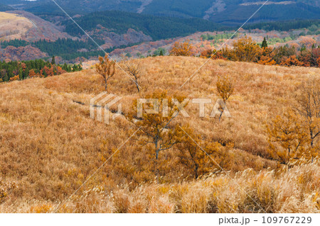 曇り空と秋色の野山の風景(阿蘇郡南小国町) 曇り空と秋色の野山の風景(阿蘇郡南小国町) 109767229