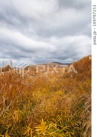 曇り空と秋色の野山の風景(阿蘇郡南小国町) 曇り空と秋色の野山の風景(阿蘇郡南小国町) 109767253