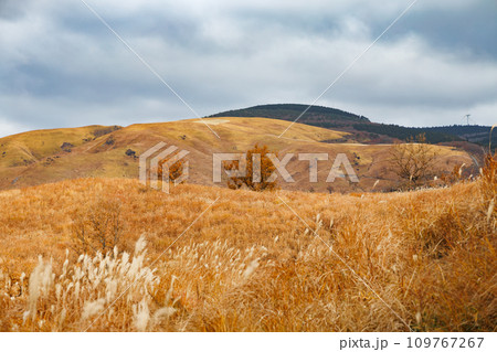 曇り空と秋色の野山の風景(阿蘇郡南小国町) 曇り空と秋色の野山の風景(阿蘇郡南小国町) 109767267