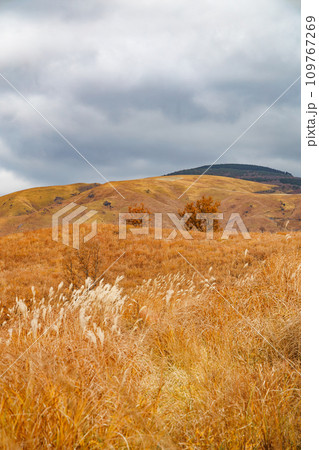 曇り空と秋色の野山の風景(阿蘇郡南小国町) 曇り空と秋色の野山の風景(阿蘇郡南小国町) 109767269