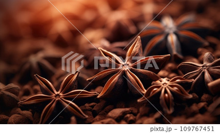 Brown spice star anise Close up. Copy Space. Aromatic seasonings for tea, coffee, hot chocolate, cocoa, mulled wine. Dark background. Organic spices. Tea house, cafe restaurant spice shop. Food blog 109767451