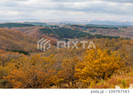 平野台高原で見る秋の色をした景色（阿蘇郡南小国町） 109767565