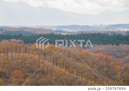 平野台高原で見る秋の色をした景色(阿蘇郡南小国町) 平野台高原で見る秋の色をした景色(阿蘇郡南小国町) 109767684