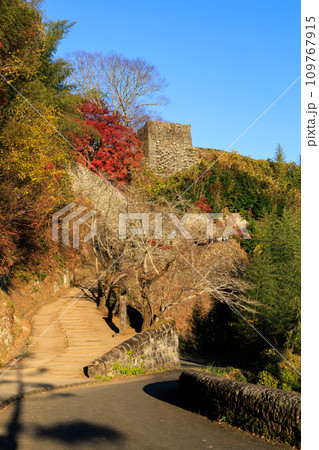 岡城跡の秋の夕景(大分県竹田市) 岡城跡の秋の夕景(大分県竹田市) 109767915