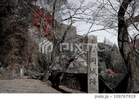 岡城跡の入り口(大分県竹田市) 岡城跡の入り口(大分県竹田市) 109767919