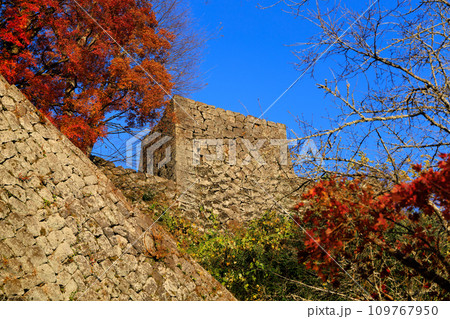 見上げる岡城跡の石垣と紅葉(大分県竹田市) 見上げる岡城跡の石垣と紅葉(大分県竹田市) 109767950