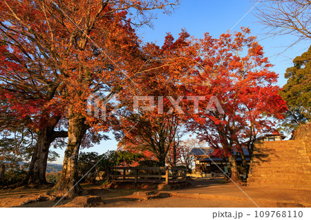 岡城跡の秋の夕景(大分県竹田市) 岡城跡の秋の夕景(大分県竹田市) 109768110