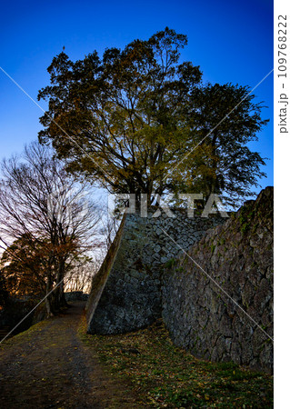 岡城跡の秋の夕景(大分県竹田市) 岡城跡の秋の夕景(大分県竹田市) 109768222