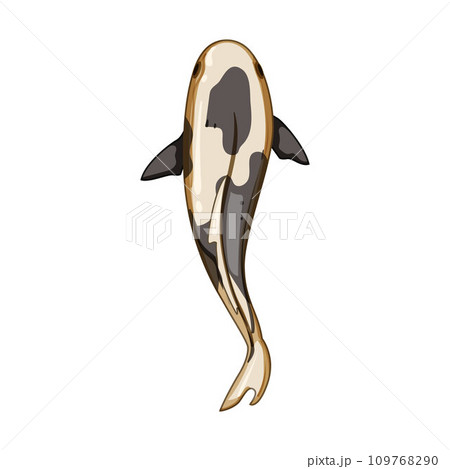 pond koi fish carp cartoon vector illustration pond koi fish carp cartoon vector illustration 109768290