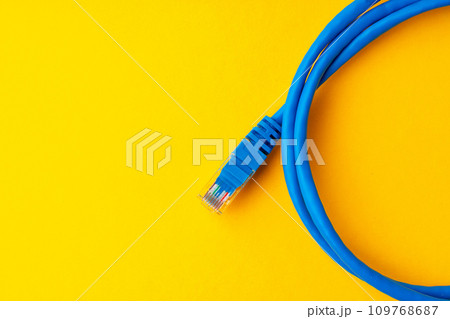 Network cable on yellow background studio shot 109768687