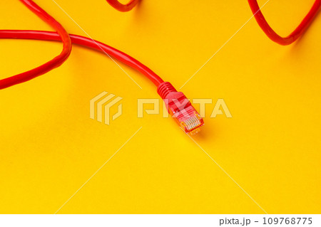 Network cable on yellow background studio shot Network cable on yellow background studio shot 109768775