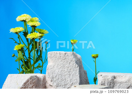Pieces of gray limestone on blue background with flowers 109769023