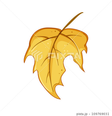 canada maple leaf cartoon vector illustration 109769031