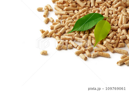 Wooden filler for cat litter box isolated on white background 109769061