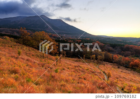 平野台高原展望所から見る朝の風景（阿蘇郡南小国町） 109769182