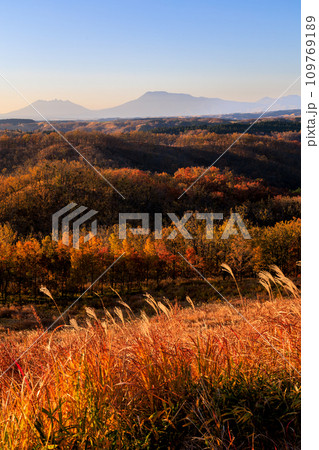 平野台高原展望所から見る朝の風景（阿蘇郡南小国町） 109769189