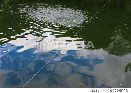 旧古河庭園　2023年(夏) の風景 32 109769698