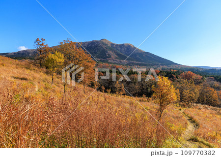 色づいた野山が美しい秋の平野台高原(阿蘇郡南小国町) 色づいた野山が美しい秋の平野台高原(阿蘇郡南小国町) 109770382