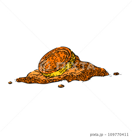 curcuma turmeric sketch hand drawn vector 109770411