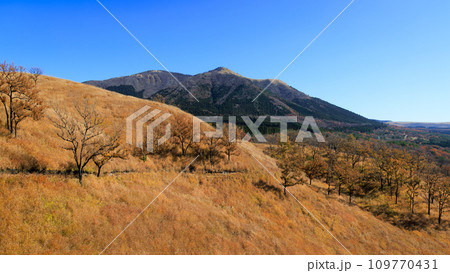色づいた野山が美しい秋の平野台高原(阿蘇郡南小国町) 色づいた野山が美しい秋の平野台高原(阿蘇郡南小国町) 109770431