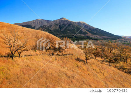 色づいた野山が美しい秋の平野台高原（阿蘇郡南小国町） 109770433