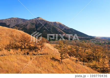 色づいた野山が美しい秋の平野台高原（阿蘇郡南小国町） 109770436