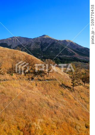 色づいた野山が美しい秋の平野台高原(阿蘇郡南小国町) 色づいた野山が美しい秋の平野台高原(阿蘇郡南小国町) 109770438