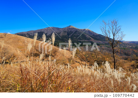色づいた野山が美しい秋の平野台高原（阿蘇郡南小国町） 109770442
