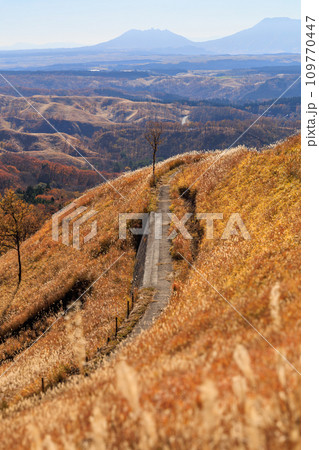 色づいた野山が美しい秋の平野台高原（阿蘇郡南小国町） 109770447