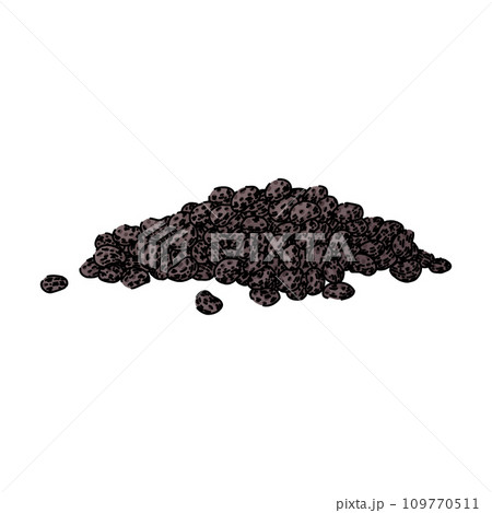 field poppy sketch hand drawn vector 109770511