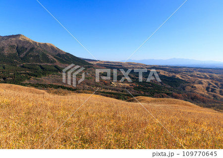 色づいた野山が美しい秋の平野台高原(阿蘇郡南小国町) 色づいた野山が美しい秋の平野台高原(阿蘇郡南小国町) 109770645