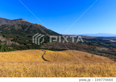 色づいた野山が美しい秋の平野台高原(阿蘇郡南小国町) 色づいた野山が美しい秋の平野台高原(阿蘇郡南小国町) 109770660