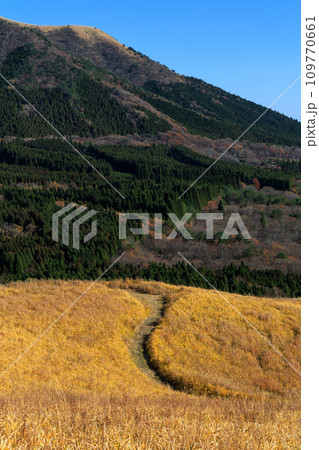 色づいた野山が美しい秋の平野台高原(阿蘇郡南小国町) 色づいた野山が美しい秋の平野台高原(阿蘇郡南小国町) 109770661