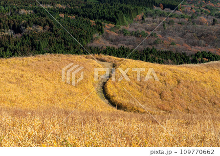 色づいた野山が美しい秋の平野台高原（阿蘇郡南小国町） 109770662