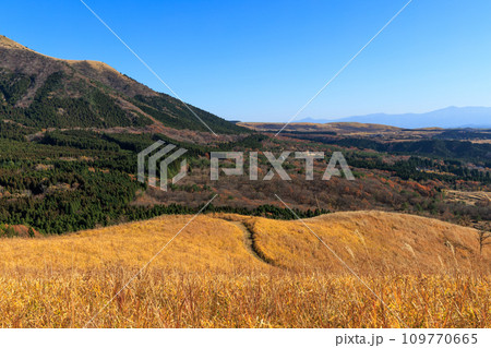 色づいた野山が美しい秋の平野台高原（阿蘇郡南小国町） 109770665