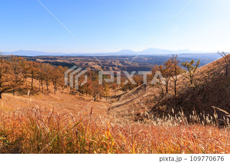 色づいた野山が美しい秋の平野台高原(阿蘇郡南小国町) 色づいた野山が美しい秋の平野台高原(阿蘇郡南小国町) 109770676