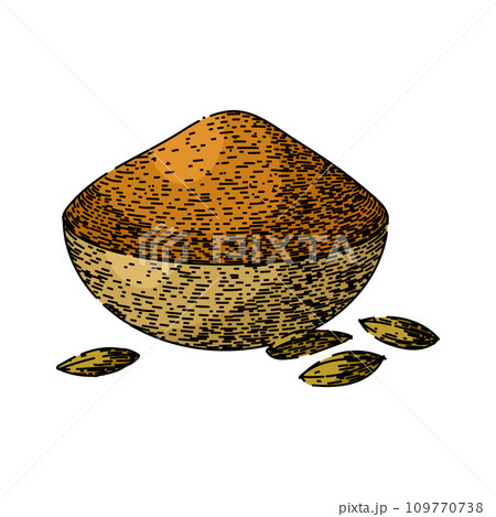 herb cumin sketch hand drawn vector 109770738