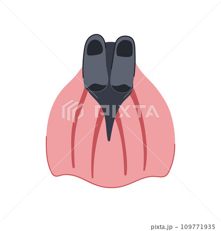 isometric flippers cartoon vector illustration isometric flippers cartoon vector illustration 109771935