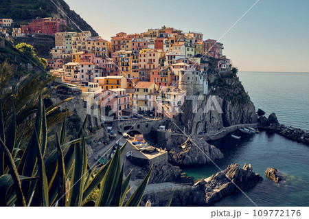 Manarola town in Cinque Terre region, Italy 109772176